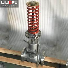 自力式壓力調(diào)節(jié)閥：科技引領(lǐng)，壓力控制新篇章